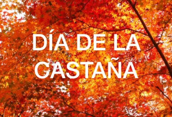 CASTAÑADA 19-20